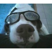 Robert Handley's photo