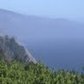 Rebecca Mueller's photo