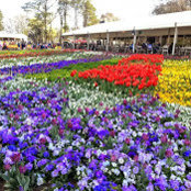 Ajay Bhatnagar's photo