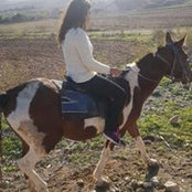 עואודה מראםs foto
