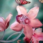 Patt Morgans foto