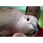 Heather Akou's photo