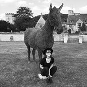 Joanna Haggerさんの写真