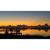 Arlene Salyer's photo