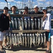 John Tolari's photo