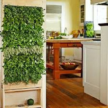 kitchen herb window