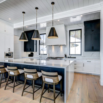 Transitional Kitchen