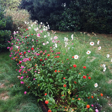 Potager et son bassin