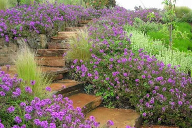 Cette photo montre un jardin bord de mer.