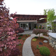 Terri's House