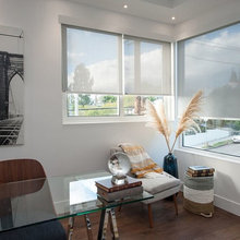 Window Blinds