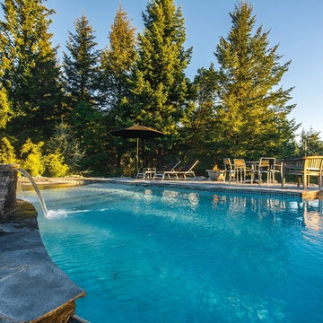 Vanishing Edge Concrete pool with spa and water feature