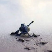 Heba Fareed's photo