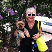 Patti Wolf-katanich's photo