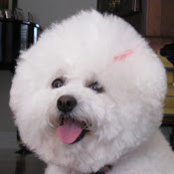 Carol Zaslow's photo