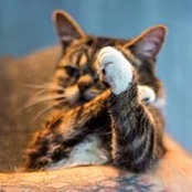 Keith Watkins's photo