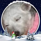 Lynn Woodring's photo