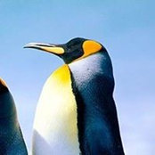 Brett Calloway's photo
