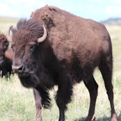 Mike OBrien's photo