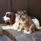 Maggie Foard's photo