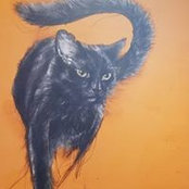 Ruth Mohr's photo