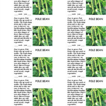 Beans &  Peas