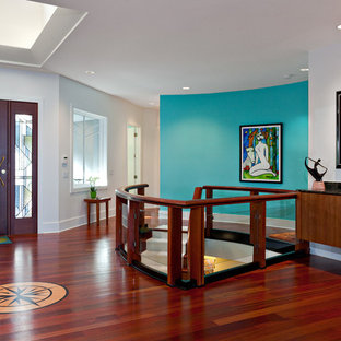 他の地域の片開きドアコンテンポラリースタイルのおしゃれな玄関ロビー (青い壁、赤い床) の写真