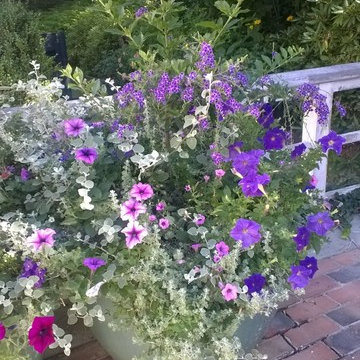 Seasonal flower containers and pots