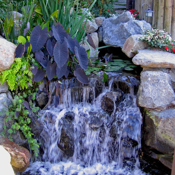 KOI Pond