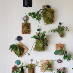 Earthy & Beautiful - Decorative Accents