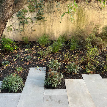 Modern Urban Shade Garden