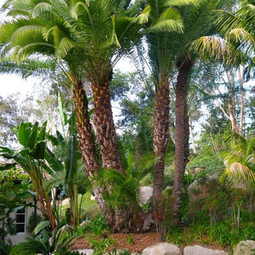 Rancho Santa Fe