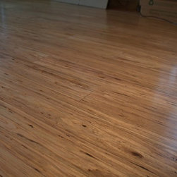 Petrified Strand Eucalyptus - Products