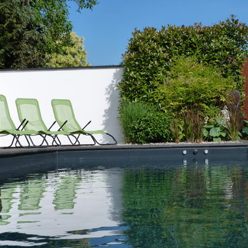 Naturpool mit Liegebereich