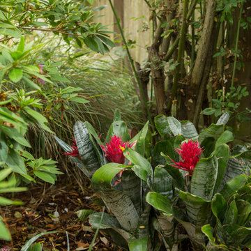 Garden in the Excelsior