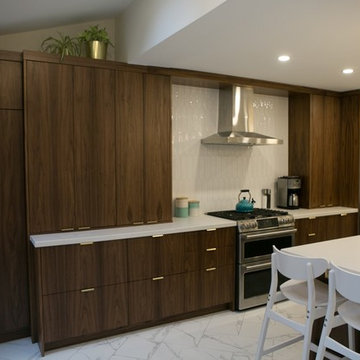 Toronto Kitchen Renovation