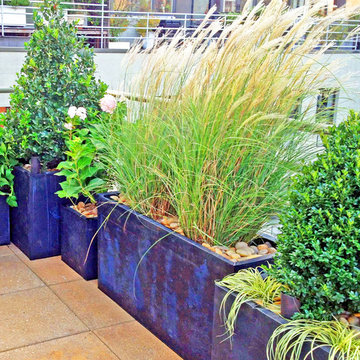 Lush West Village Rooftop Garden with Container Plants in Metal Pots
