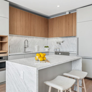 Prospect Heights Penthouse