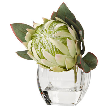 White queen protea in glass cubes