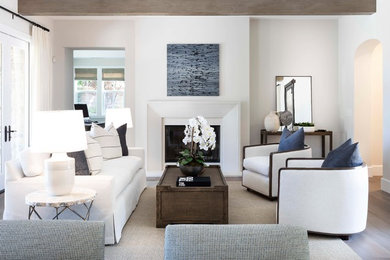 Large transitional home design photo in Orange County