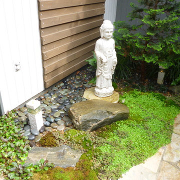 Zen Garden