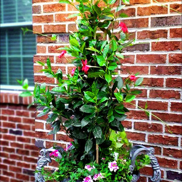 Colorful and Creative Containers, Planters and Urns