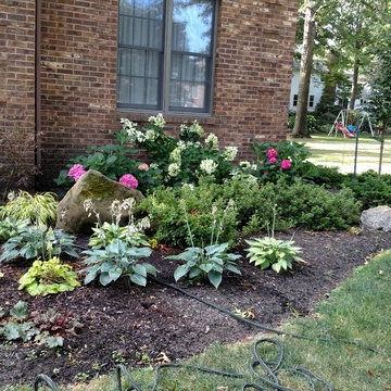Our Work