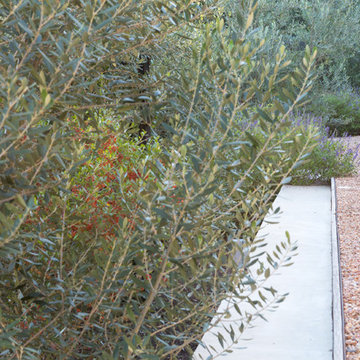 Mell Lawrence Architects - Balcones House