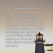 Anita Jansen's photo