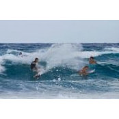 Kate Montero's photo