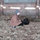 valerie_kathman