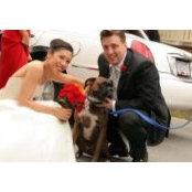 Matt Kaiser's photo