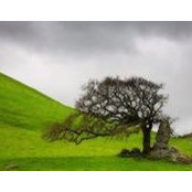 Joe Dyke's photo