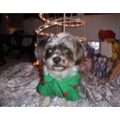 Colleen Boone-Hartley's photo